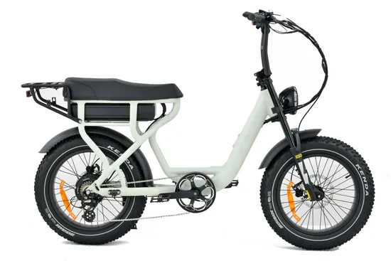 Bicicleta eléctrica retro vintage de 1000 W con suspensión total y neumáticos anchos de nuevo diseño