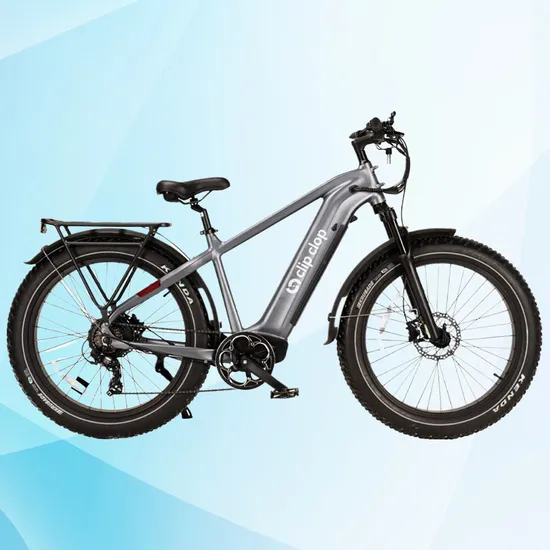 Bicicleta eléctrica urbana personalizada con gráficos de gran venta y garantía posventa.