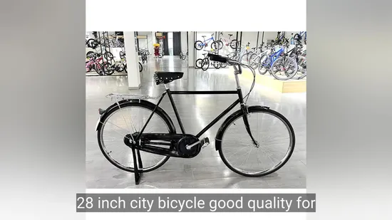 Bicicleta de montaña de una sola velocidad de buena calidad, tamaño 28/29, material de hierro y acero, para hombre