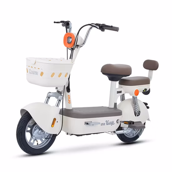Bicicleta eléctrica Lvju Youummy Mini City Bike con batería de plomo-ácido de 48/60 V y soporte OEM