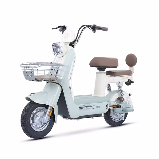 Bicicleta eléctrica Lvju Walden de 48/60 V con batería de plomo-ácido para adultos